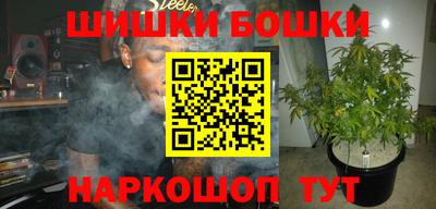 крисы Будённовск