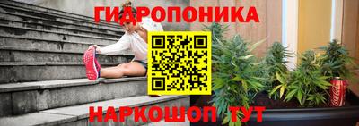 первитин Бийск