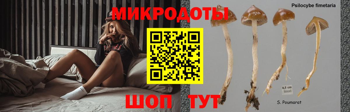Кимры  Псилоцибиновые грибы Magic Shrooms  Вход с VPN 