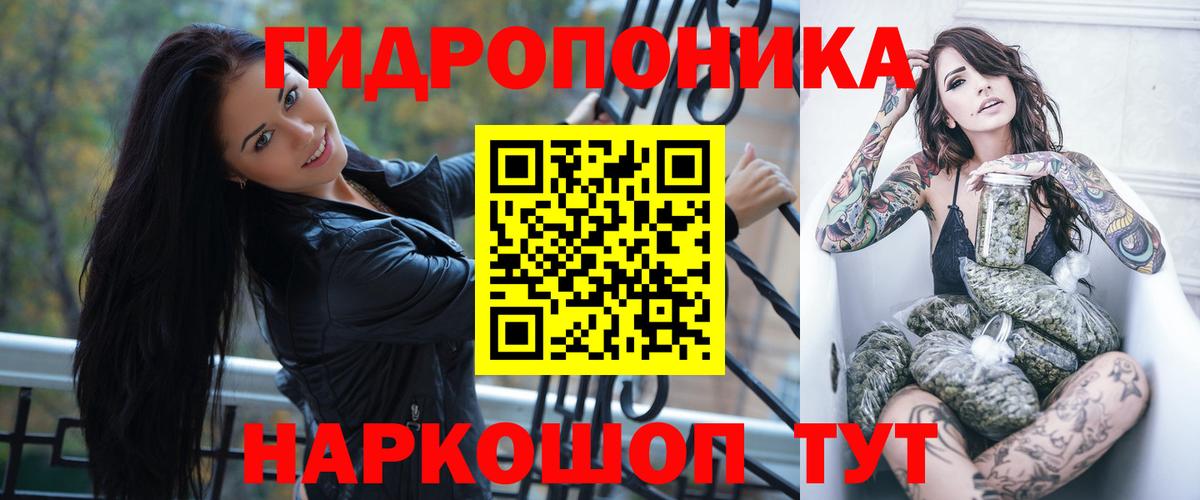 Конопля семена  Бошки марихуана гибрид  Канабис VHQ  Вход с VPN  Каннабис план  Кимры 